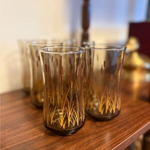 Set of 6 Vintage Cattails Mid Century Drinking Glasses
